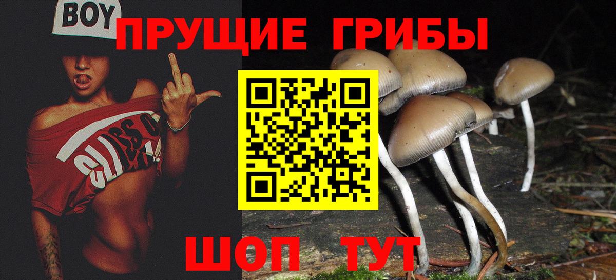 Можга  Галлюциногенные грибы прущие грибы  Псилоцибиновые грибы Cubensis  Вход с VPN 